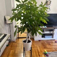 Seller Image